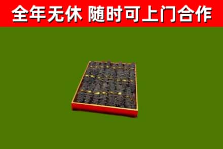 孝昌回收海参